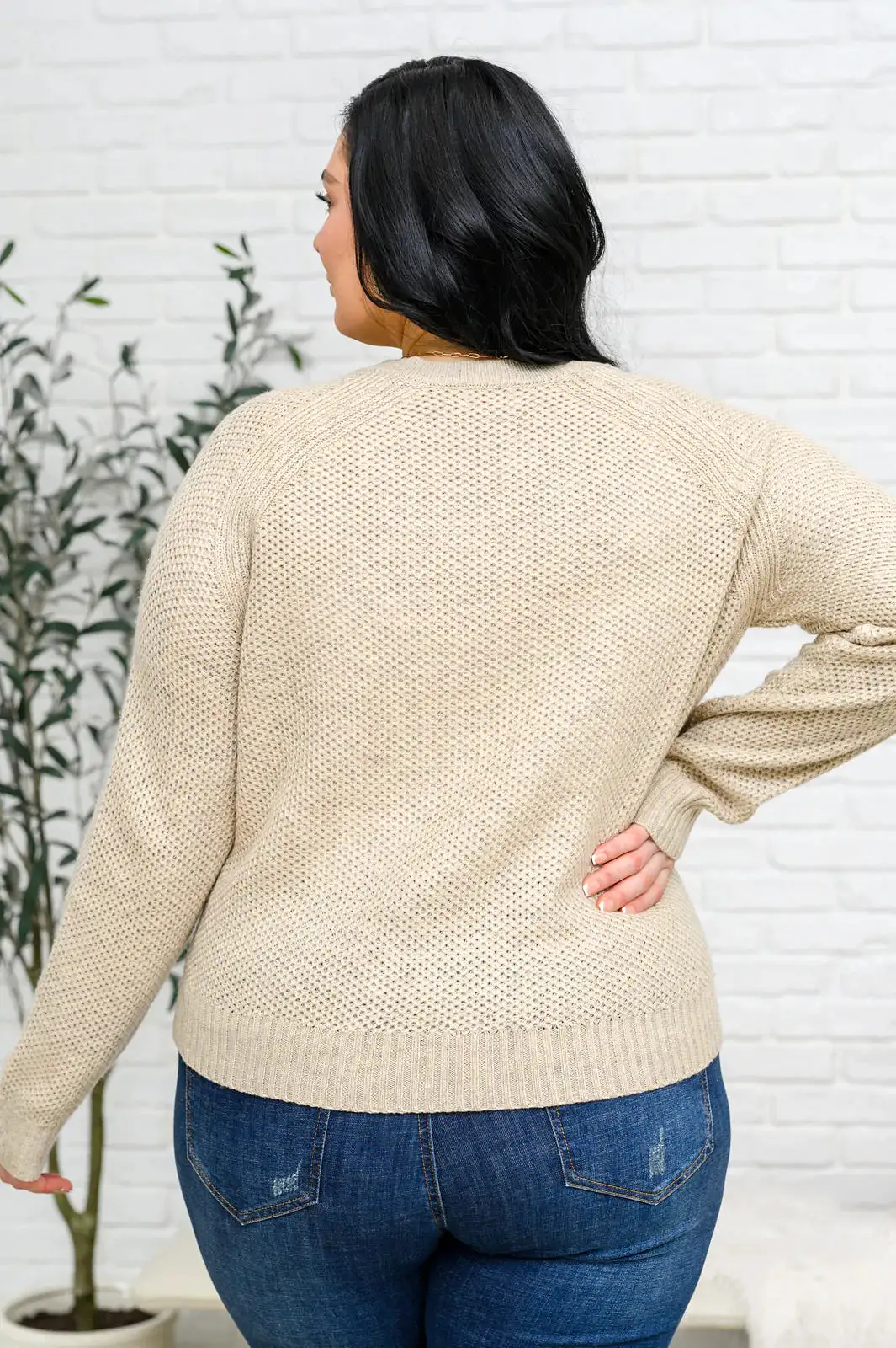 Chai Latte V-Neck Sweater in Oatmeal