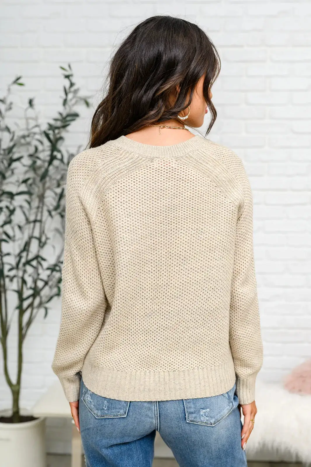 Chai Latte V-Neck Sweater in Oatmeal