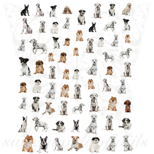 Dog Nail Art Nail Stickers