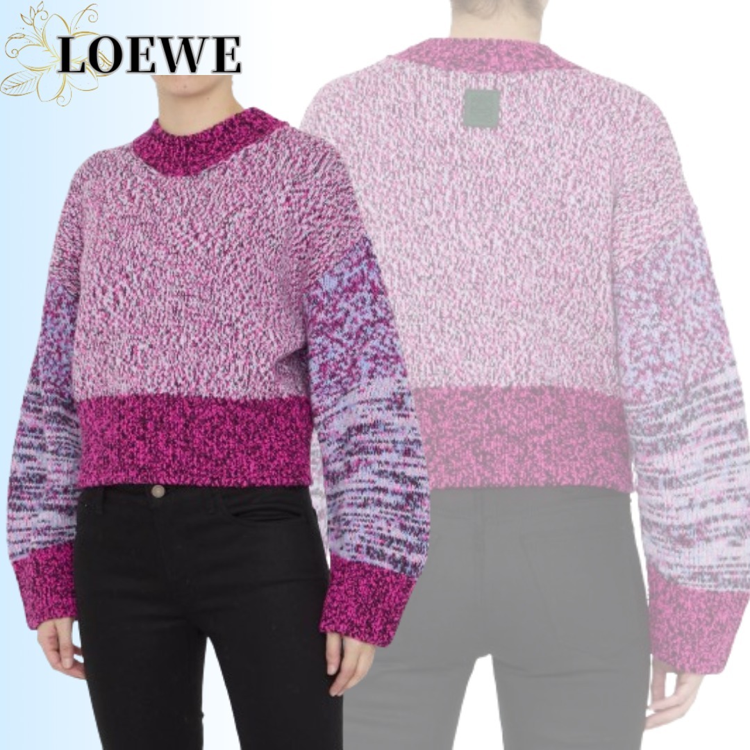 LOEWE  |Sweater in wool